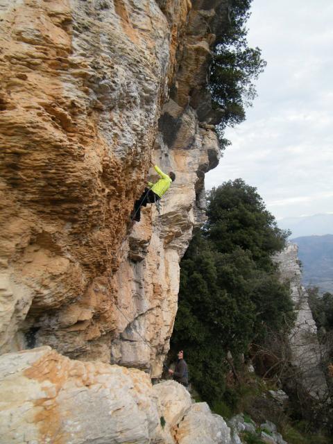 Guglielmo Fornari