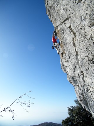 Guglielmo Fornari