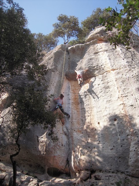 Giorgio Delfino