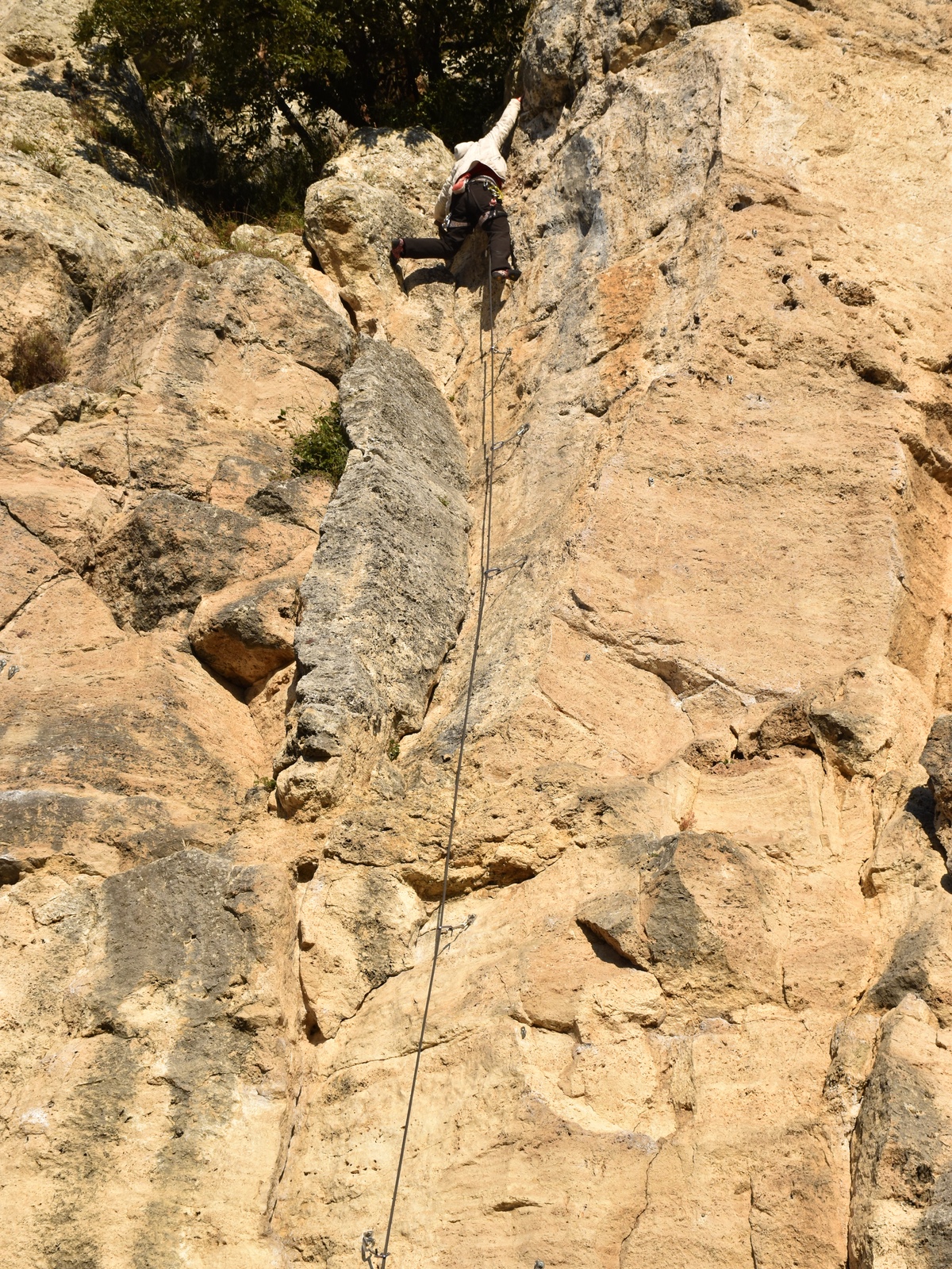 Carmela su L'Antica (5c)