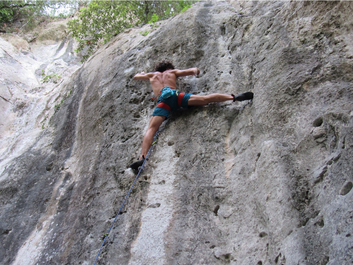 Francesco su Oscuro Scrutare (7a)