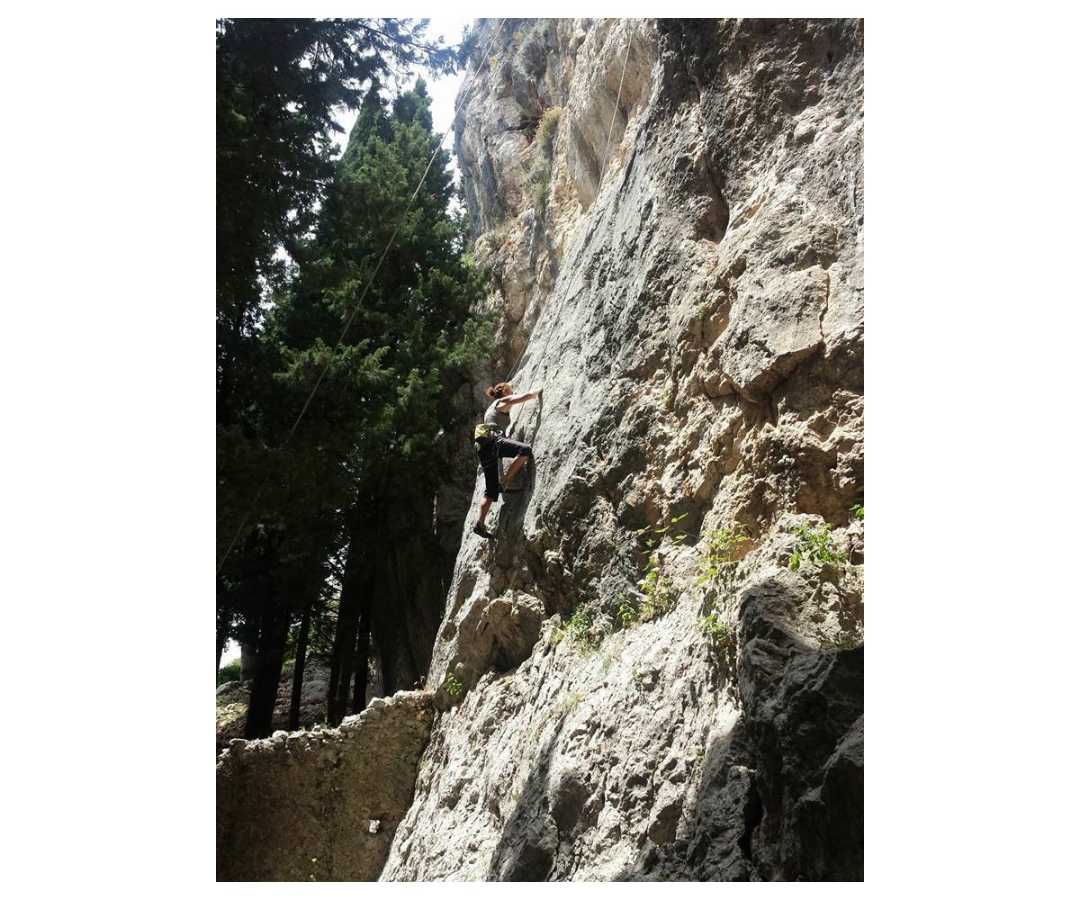 Stilo, Settore Gaia