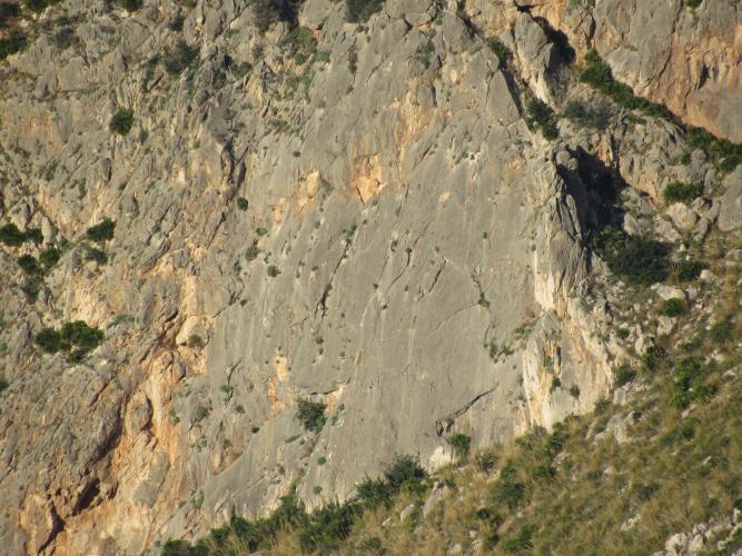 Placche di Màcari