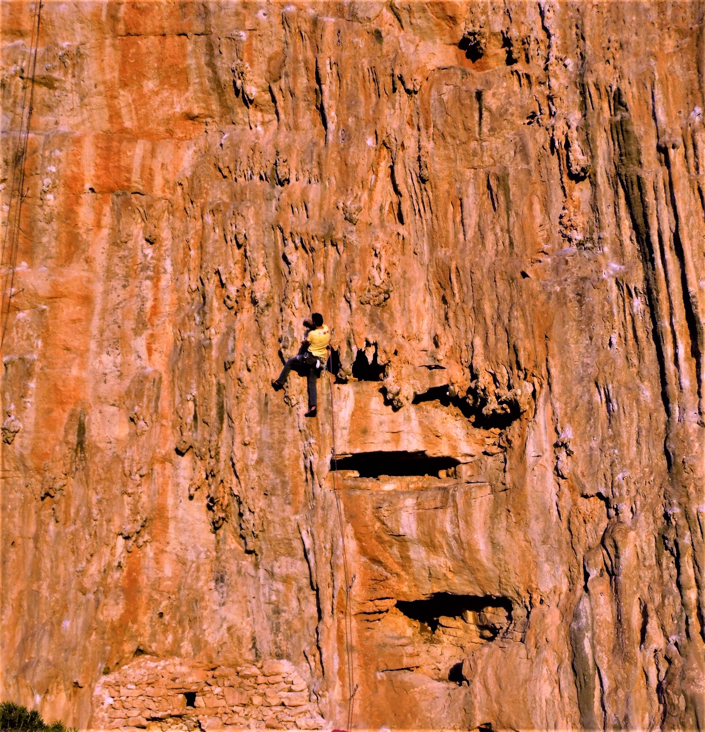 Never Sleeping Wall, Sweet Dreams