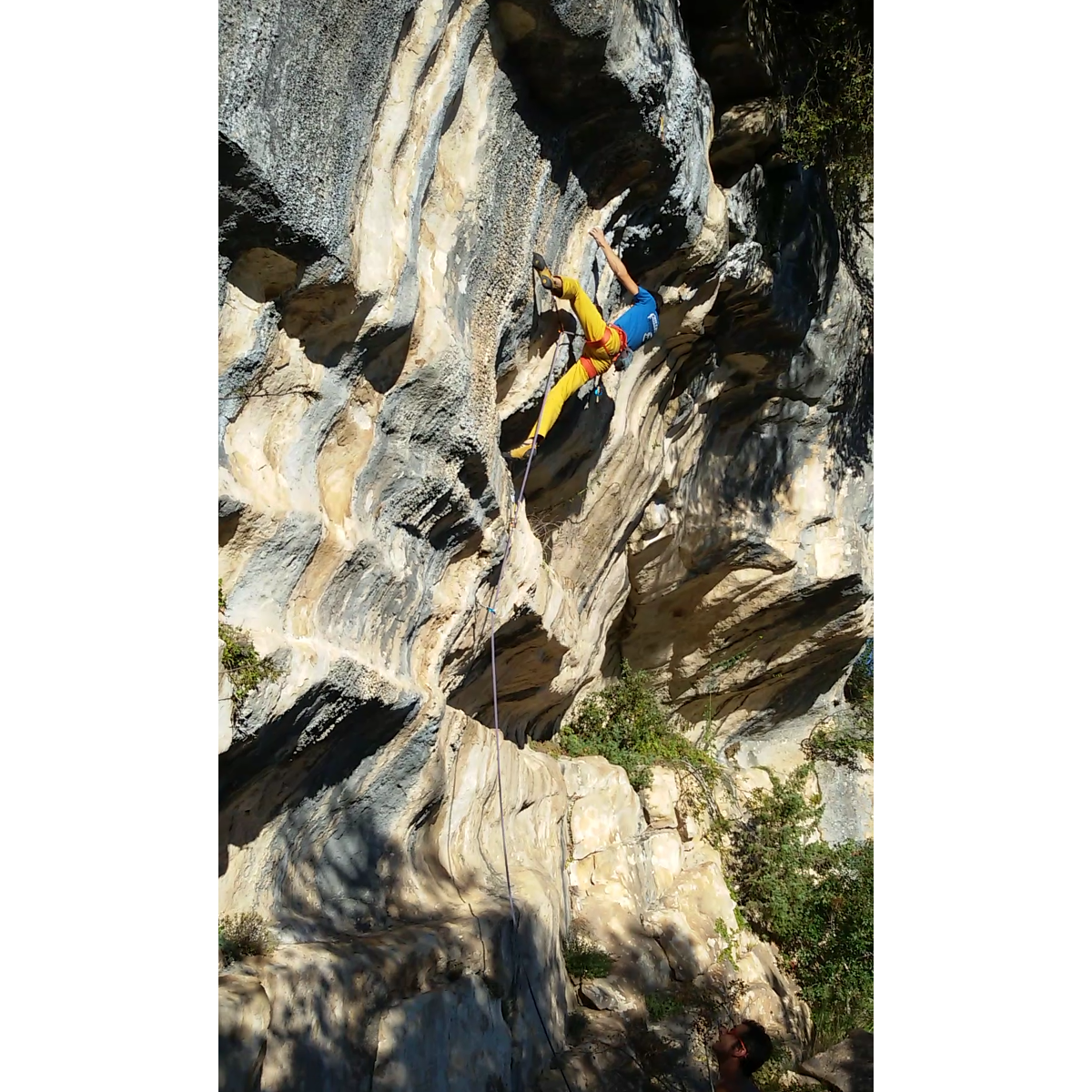 Giordano Renzani on Alesandro (7b)