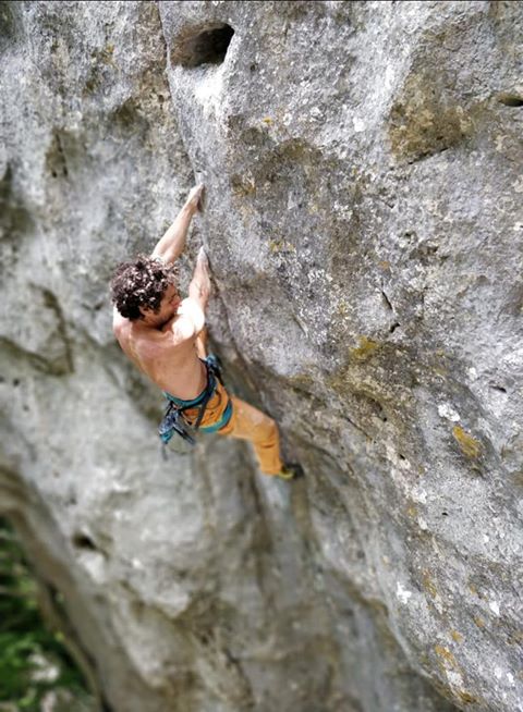 Mauro Calibani