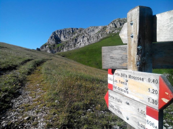 The paths of Campo Staffi