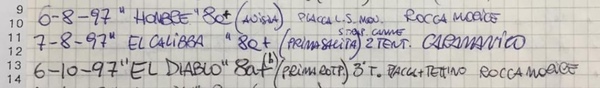 Appunti di Mauro Calibani
