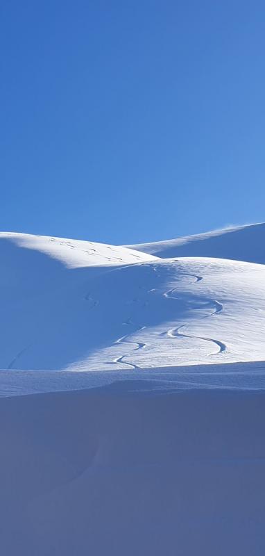 The ski tracks