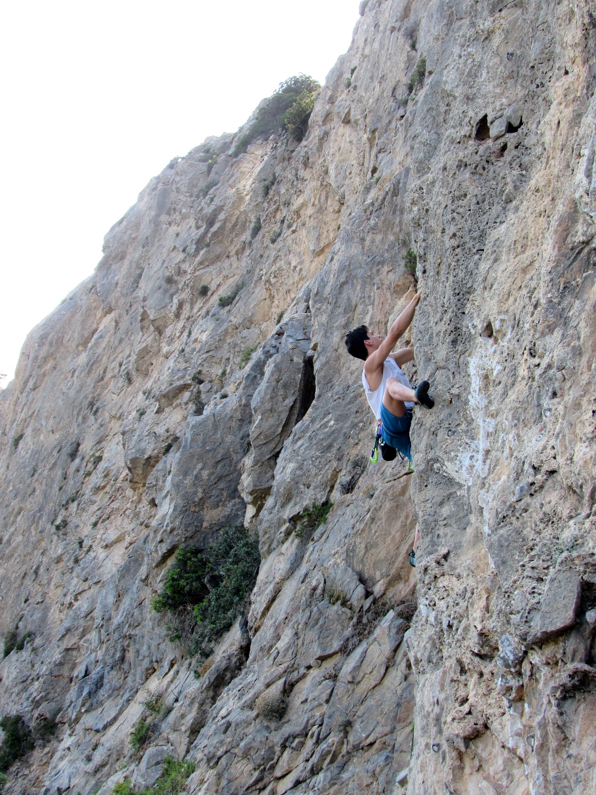 Capo d'Uomo: 220 volte