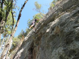 Giorgio Delfino on Asteroid (6a)