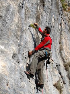 Marco Todisco setting straight from bottom Decido Io (7a)