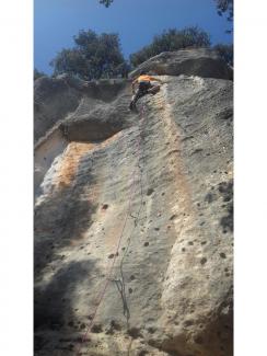 Frank Migliorati on Duracell (6c)