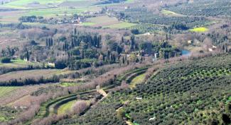 Norma: The view on the Ninfa's garden