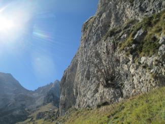 The Arapietra rockwall