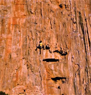 Never Sleeping Wall, Sweet Dreams