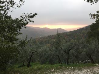 Pale at sunset
