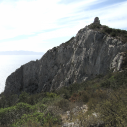 Capo d'Uomo