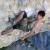 Almost touching the sky: Free Climbing